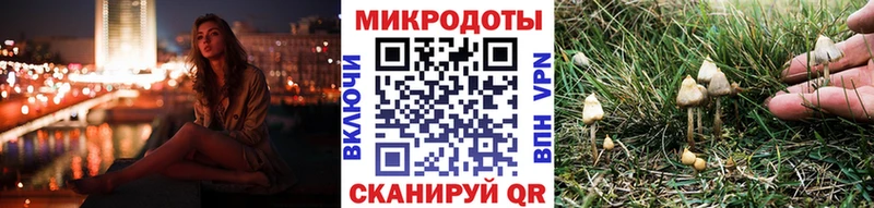 omg сайт  Галич  Псилоцибиновые грибы прущие грибы 